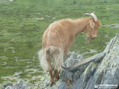 El Ocejón-Reserva Nacional Sonsaz;forros polares montaña turismo de naturaleza en españa pueblo d